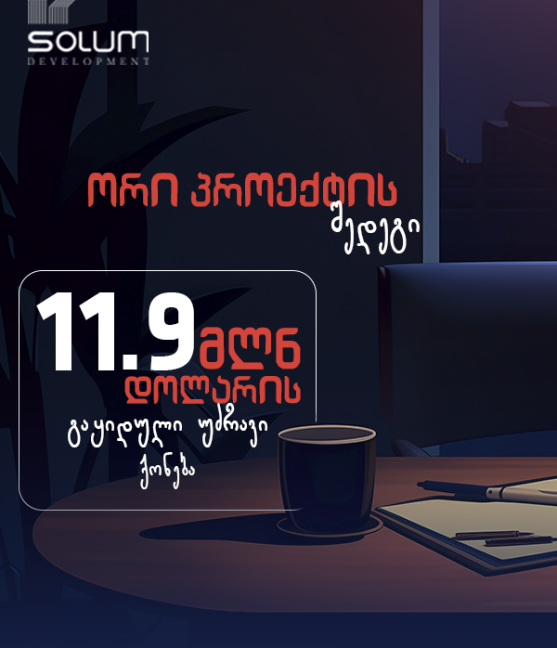 სოლუმ დეველოპმენტი 2025 - ახალი სტანდარტები უძრავ ქონებაში